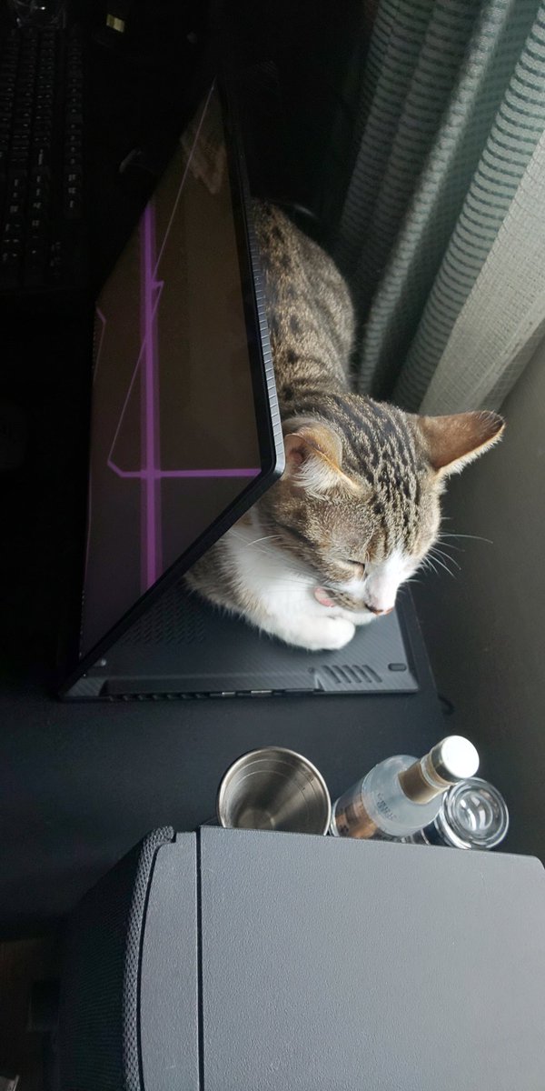 nondorcray's tweet image. #ROGflowX13
これじゃRTXオンにできないでござるwww