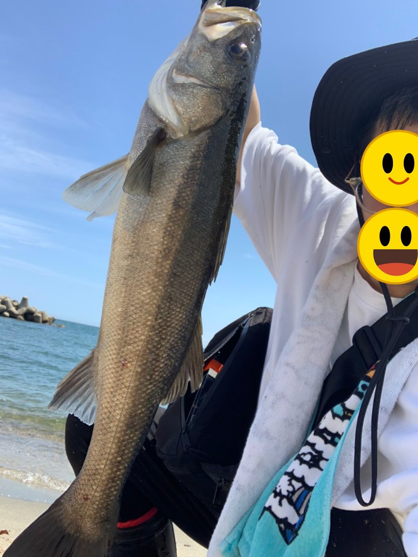 aacm3361's tweet image. サーフでフラットフィッシュ狙ってたらシーバスが爆釣！
サイズも中々だしクソおもろい