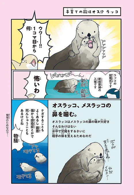 ラッコのワンオペ育児。子育ては子どももお母さんも命懸け

https://t.co/CRji42zc6I 