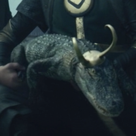 MarcheX800's tweet photo. Crocodile Loki raises so many questions. Did he get a trial, did they make him sign off everything he ever said, did they make him wear a little Variant Jumpsuit? I NEED ANSWERS! https://t.co/8FvDbTrnQi