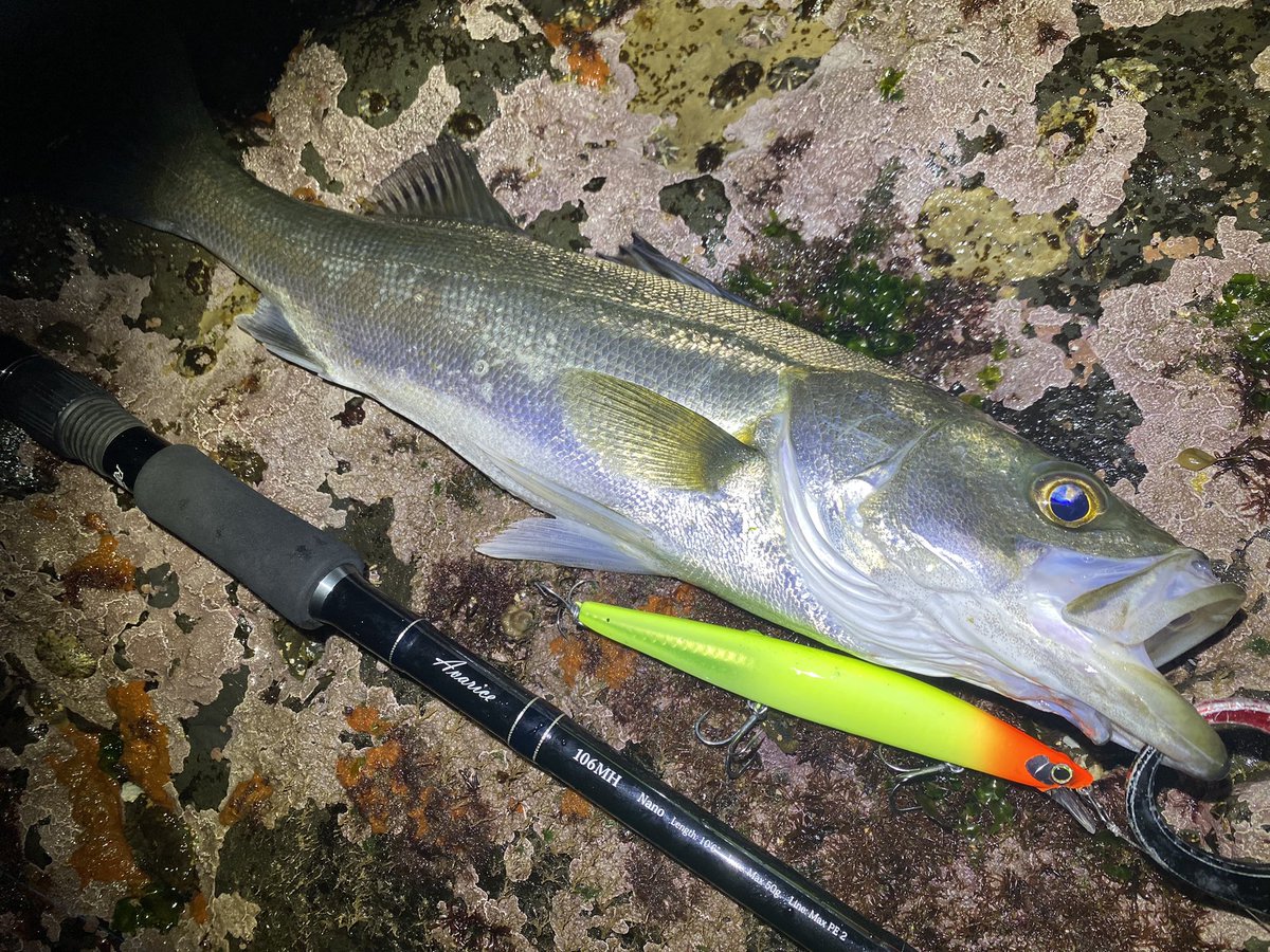 サイレントアサシン140f