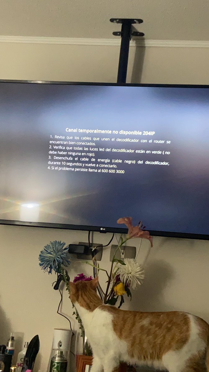 _camil0's tweet photo. @AyudaMovistarCL qué pasa con el servicio de iptv!!! https://t.co/1c3vaMJMPD