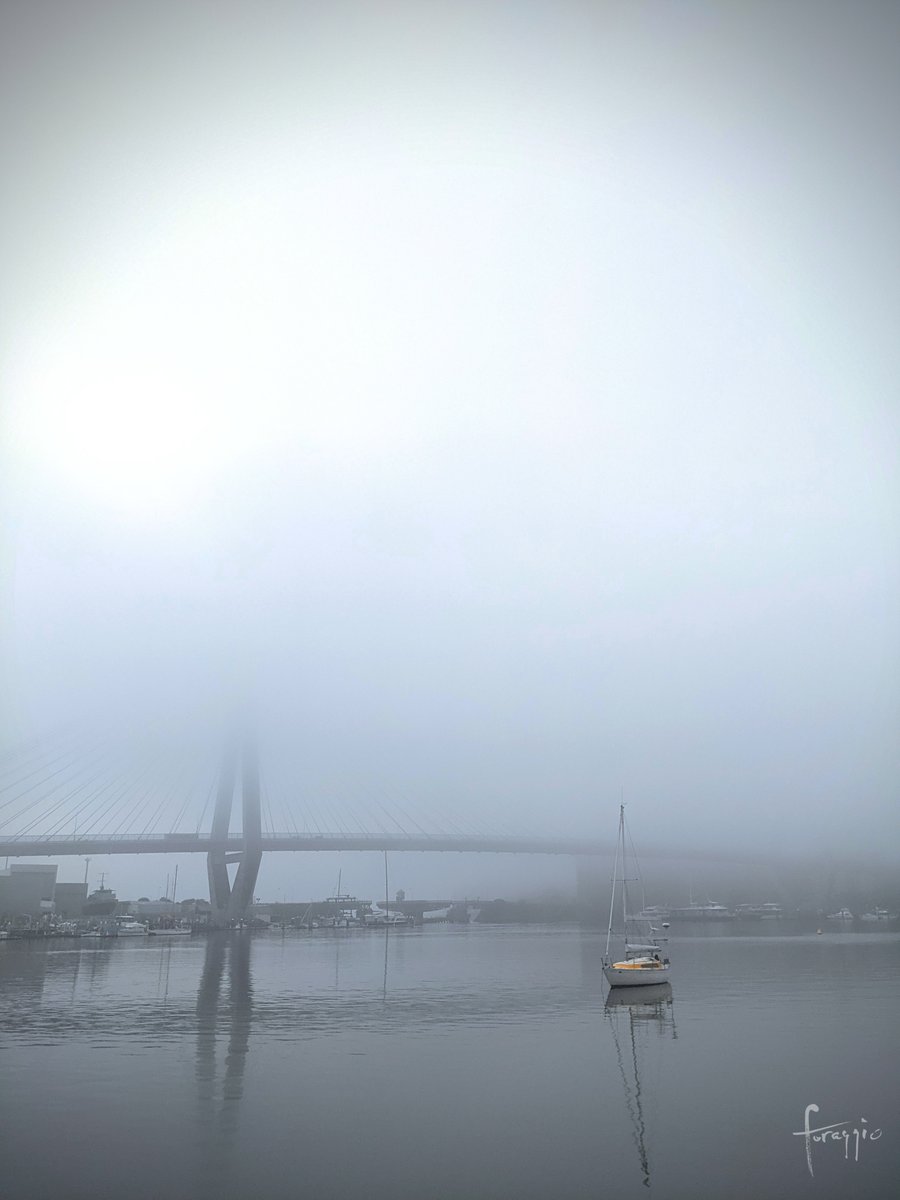 foraggiophoto's tweet photo. Sydney's fog created a beautiful scene across Blackwattle Bay this morning. The impressionists must have loved weather like this 🎨👨🏻‍🎨 There is something breathtaking about days like this, something humbling. Weather and nature can certainly ground you #sydneyfog #weatherobsessed https://t.co/iryPC9jt1s