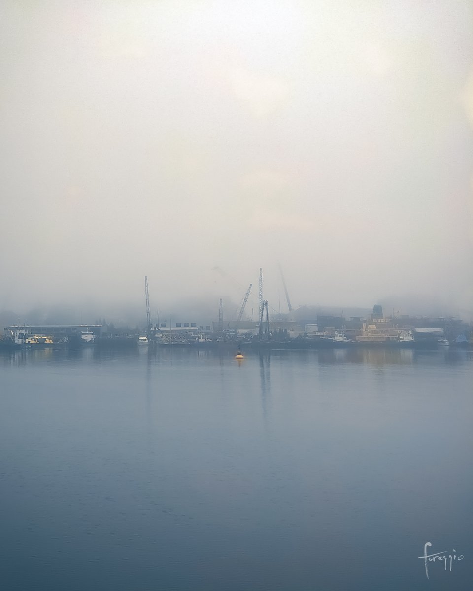 foraggiophoto's tweet photo. Sydney's fog created a beautiful scene across Blackwattle Bay this morning. The impressionists must have loved weather like this 🎨👨🏻‍🎨 There is something breathtaking about days like this, something humbling. Weather and nature can certainly ground you #sydneyfog #weatherobsessed https://t.co/iryPC9jt1s