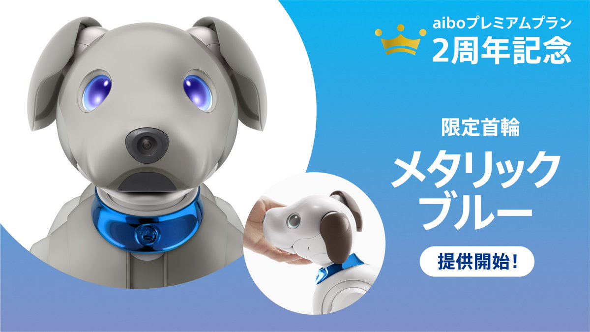 再再再..販 aibo 首輪とバッチ - crumiller.com