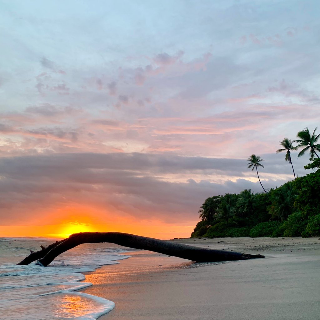 We ❤️ rainy season!!!! 🦖❤️ #puravida #santateresa #playa #photography