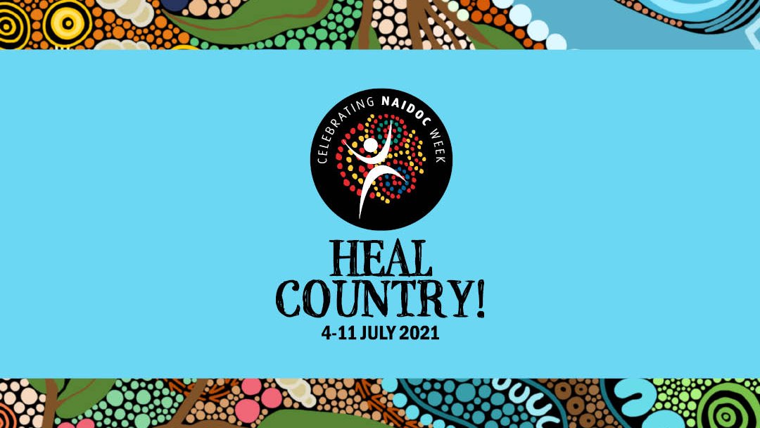 Healthy North Coast tweet media