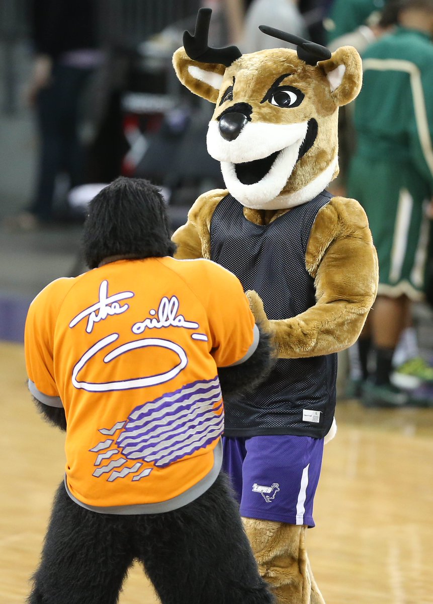 GCU Lopes tweet media