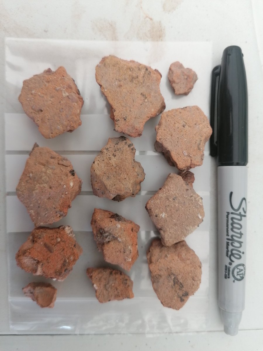 The Poulton Project tweet media