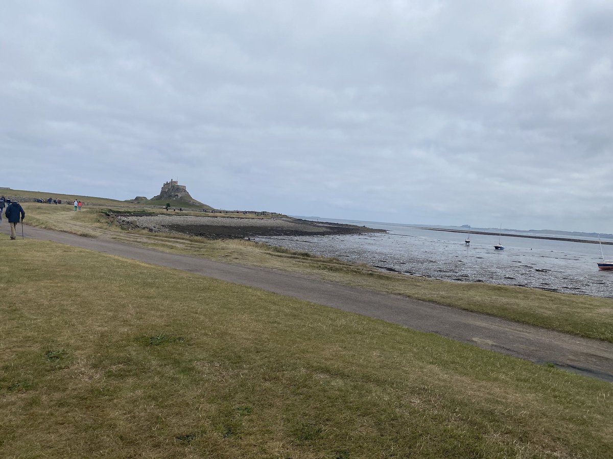 Holibobs…. More zoomies than you can wag your tail at….. I’s zorsted..😂