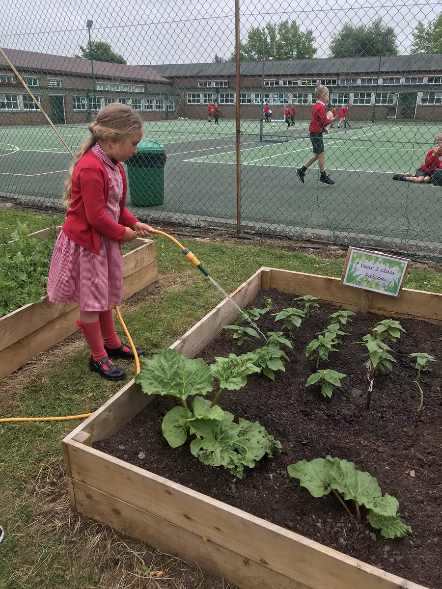 OverleighSchoolY2 tweet media