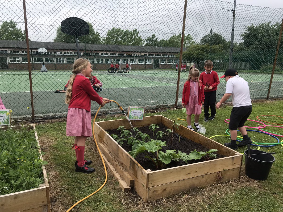 OverleighSchoolY2 tweet media