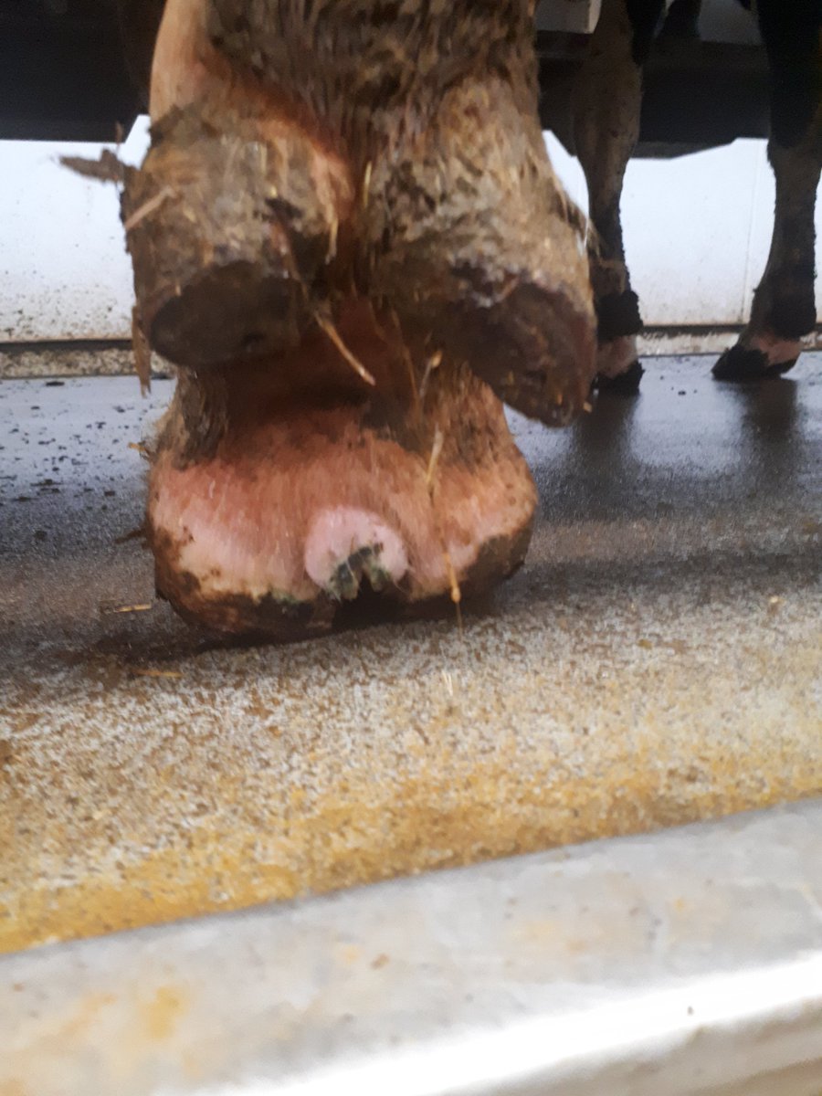 Yohann MARTIN tweet media