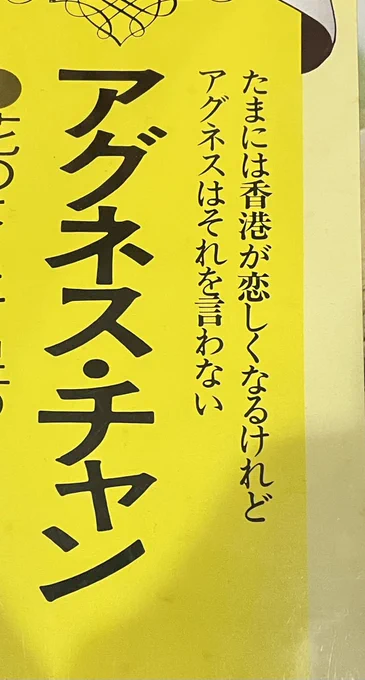 「たまには香港が恋しくなるけれどアグネスはそれを言わない」
アグネスは偉い!俺はつい言ってしまうな。香港行きたいな🇭🇰 