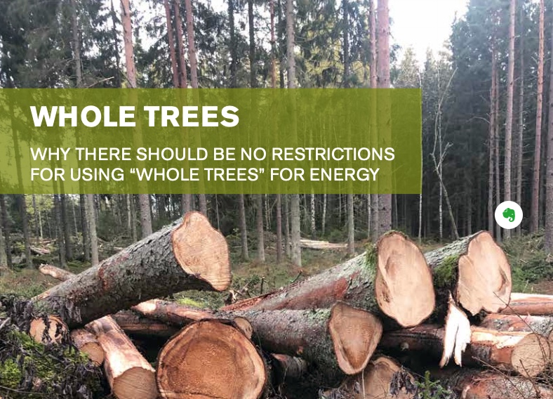 pholmgren's tweet photo. Not accepting #wood from tree stems for #bioenergy is an emotional argument exploited by activists &amp; media, getting some traction in Brussels politics.

This excellent report stemming from @Svebio provides a reality check and proves them wrong.

#forest
https://t.co/c4eJyTHLVE https://t.co/FLUR4j5PGH