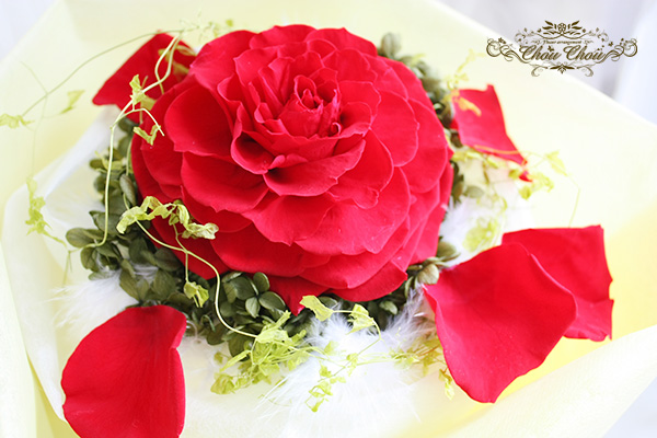 Miri Mirichouchou Twitter Miri Mirichouchou Twitter