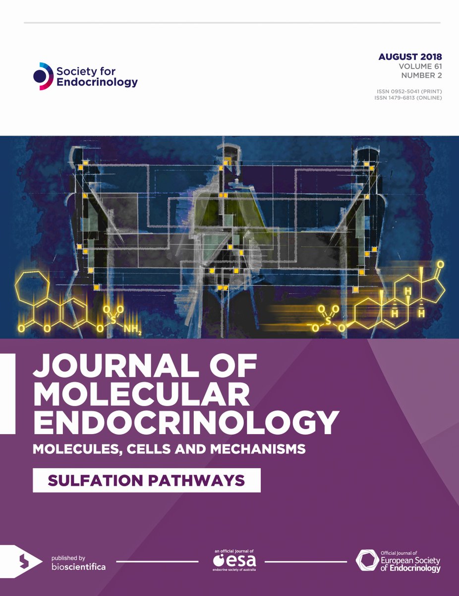 JonWolfMueller's tweet photo. @JMolEndo @Soc_Endo @ESEndocrinology @EndoSocAus Congrats to @JMolEndo - I’m very pleased to see this figure.
It was an absolute privilege to have edited a Special Issue on #SulfationPathways and to serve on the JoE/JME joint editorial board. https://t.co/RBc3N6yz5y