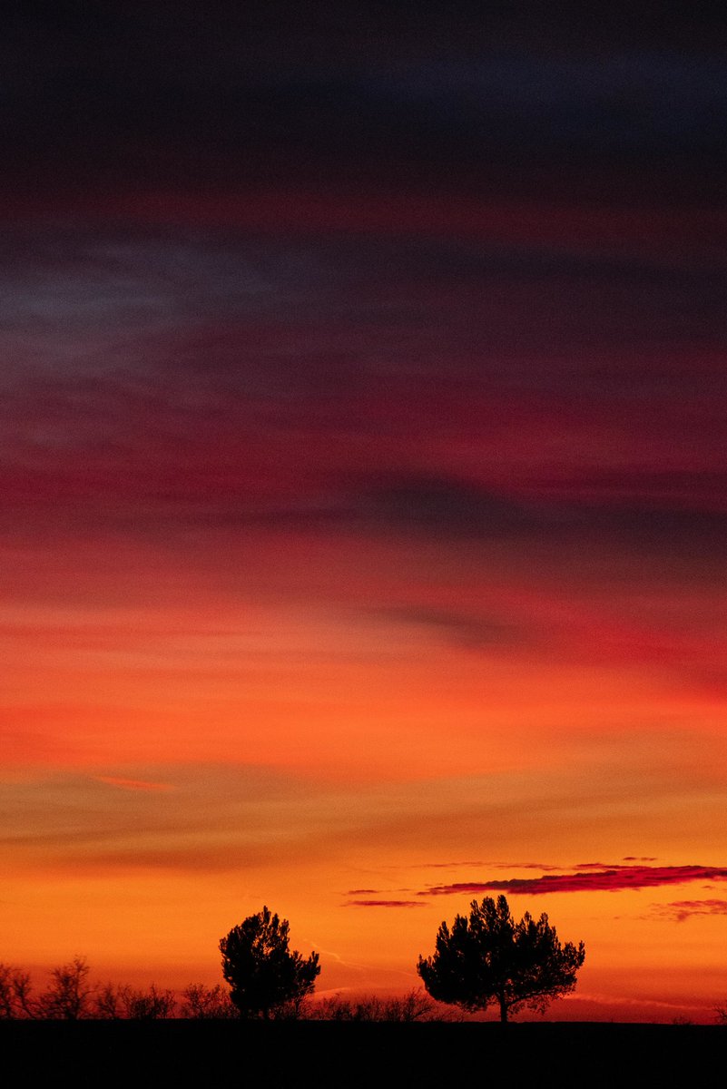 ManonSuene's tweet image. On fire 🔥
Comment ne pas vous partager la beauté de ce ciel absolument parfait ?
#hyeres #CotedAzurFrance @hyerestourisme @visitcotedazur 

swll.to/manonsueneprad…