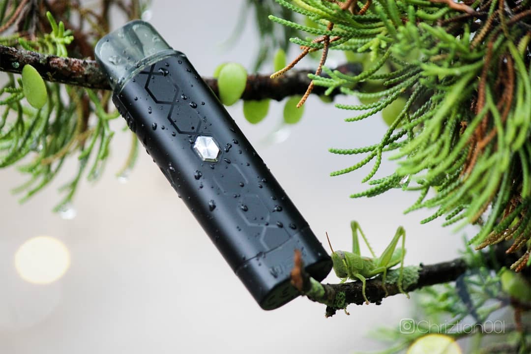 Green + Black, makes a good day