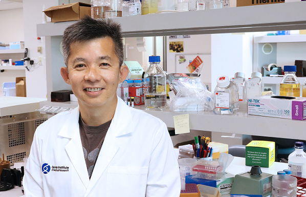 Garvan Institute of Medical Research (@garvaninstitute) on Twitter photo Congratulations to Garvan team <a href="/LabPhan/">Phan Lab</a> <a href="/josealquicirah/">José Alquicira Hernández</a> and <a href="/drjosephpowell/">Joseph Powell</a> for their paper now out in <a href="/ClinTransImmuno/">Clinical & Translational Immunology</a>! Using single-cell sequencing, they provide new insights into how immune cells change during COVID-19 infection: onlinelibrary.wiley.com/doi/full/10.10… Congratulations to Garvan team <a href="/LabPhan/">Phan Lab</a> <a href="/josealquicirah/">José Alquicira Hernández</a> and <a href="/drjosephpowell/">Joseph Powell</a> for their paper now out in <a href="/ClinTransImmuno/">Clinical & Translational Immunology</a>! Using single-cell sequencing, they provide new insights into how immune cells change during COVID-19 infection: onlinelibrary.wiley.com/doi/full/10.10…