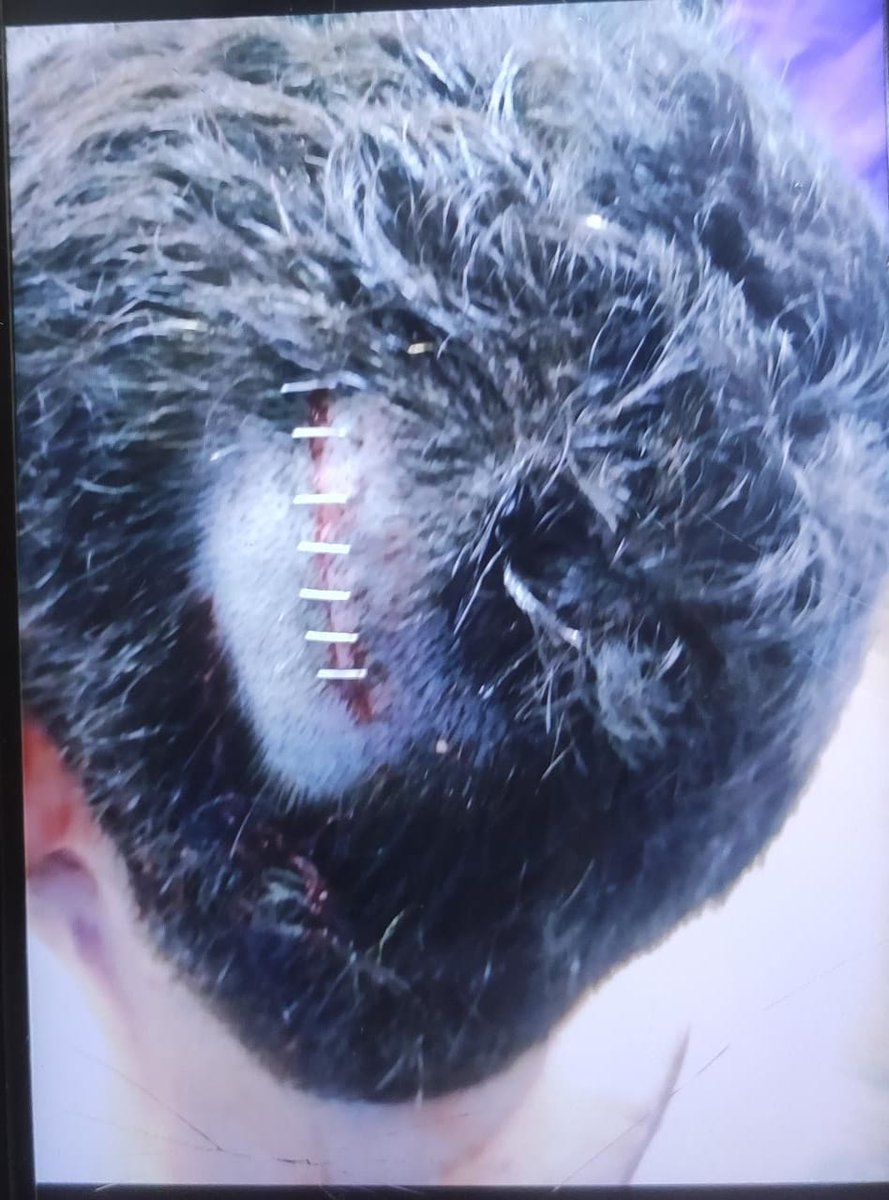 RDAAIIMS DELHI tweet media