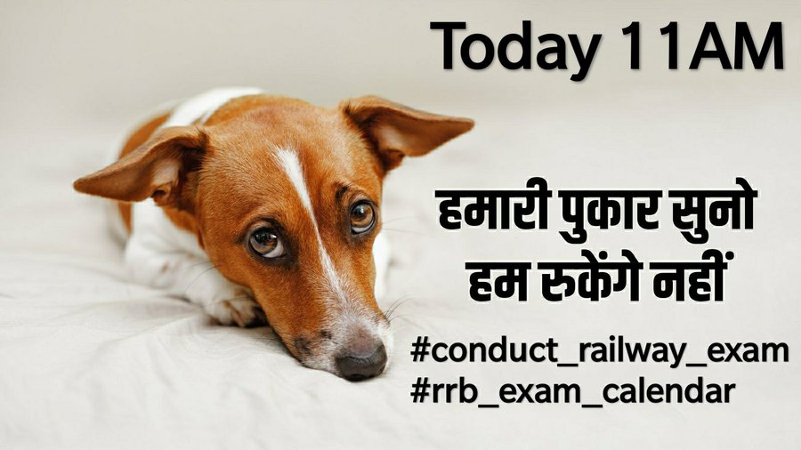 R_Boojotiya's tweet photo. 1crore students had applied for Railway exam in 2019. It's been 2 years, the exam hasn't happened.  More than one crore students are waiting. Don't play with our emotion
#Conduct_Railway_Exam 
#RRB_EXAM_CALENDAR 
@PiyushGoyal @narendramodi @RailMinIndia https://t.co/HPjoTBHn5K