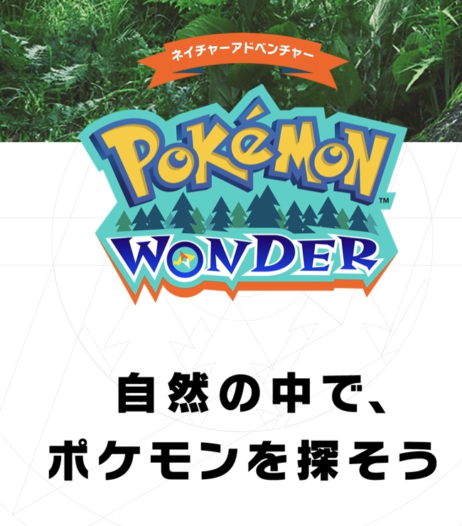ポケモンセンターnakayama Pokemon Wonder 撮影した写真のデータはもらえますか ピカチュウは登場しますか コンプリートしたら何かもらえますか T Co Enpnk6nkap 森のそこら中にポケモンがいる ポケモンワンダー を一足さきに体験