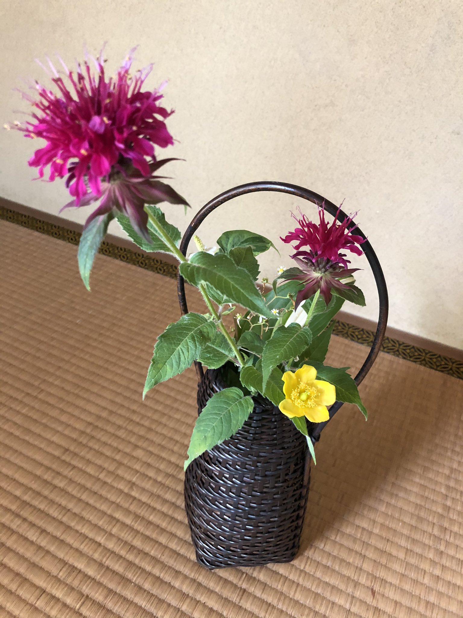 こだま祥子 今日の茶道は 茶通箱点 さつうばこだて 茶花は たいまつそう 山吹 ドクダミ お菓子は テッセンと月見草の練り切り 水戸の梅 干菓子です 先生から茶花の本をお借りしました 勉強します T Co I4wvwni4rz Twitter