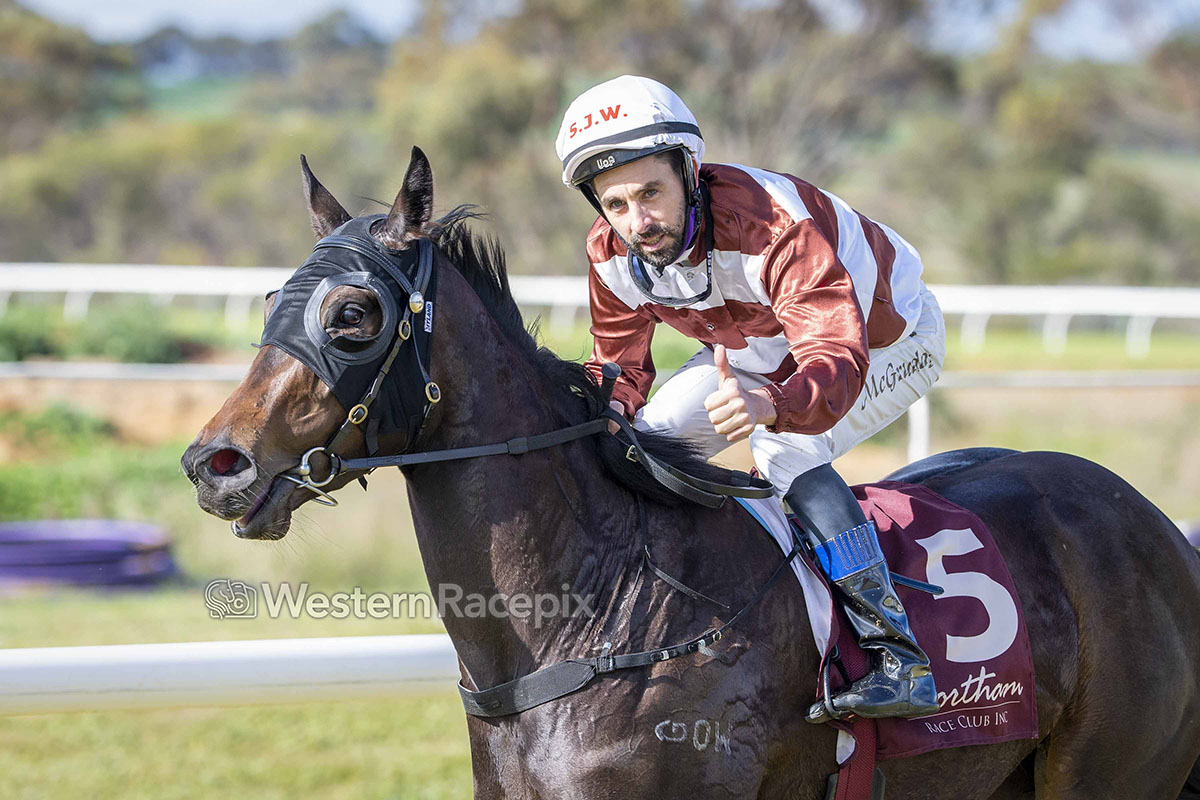 Robert Harvey's last runner is a winner! STRAKIN - Northam Thurs 1st July <a href="/NorthamRaceClub/">Northam Race Club</a> #WesternRacepix #WAracing

More 📸 westernracepix.com