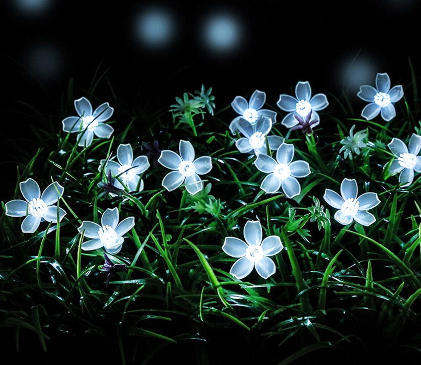 🌼신상품 입고안내🌼

보기만 해도 마냥 고운
"태양열 LED 플라워 꼬마전구"가 입고되었습니다 :)
태양열 충전식으로 다양하게 활용이 가능해요👩‍🌾🌼✨🪴

smartstore.naver.com/iconstore/prod…