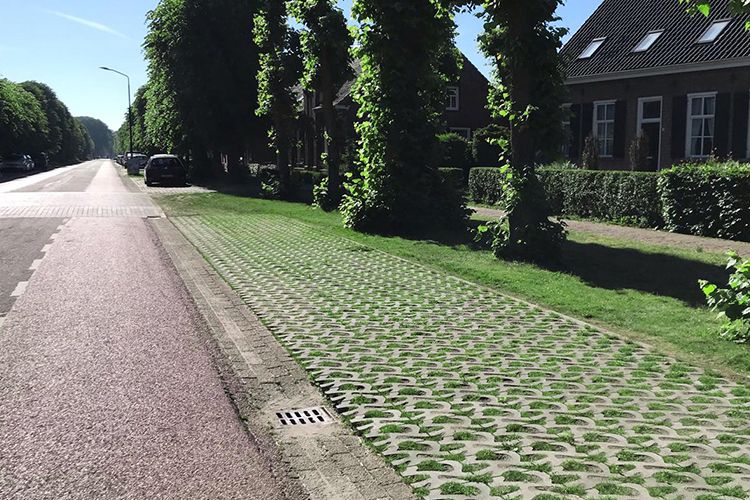Wat een plaatje weer... Brabant wordt steeds groener! Weer een koploper die de straten groen kleurt in de Gemeente Landerd weten ze daar wel raad mee. <a href="/HansVereijken/">Hans Vereijken</a> &amp; <a href="/Andy_Engel/">Andy Engel</a>