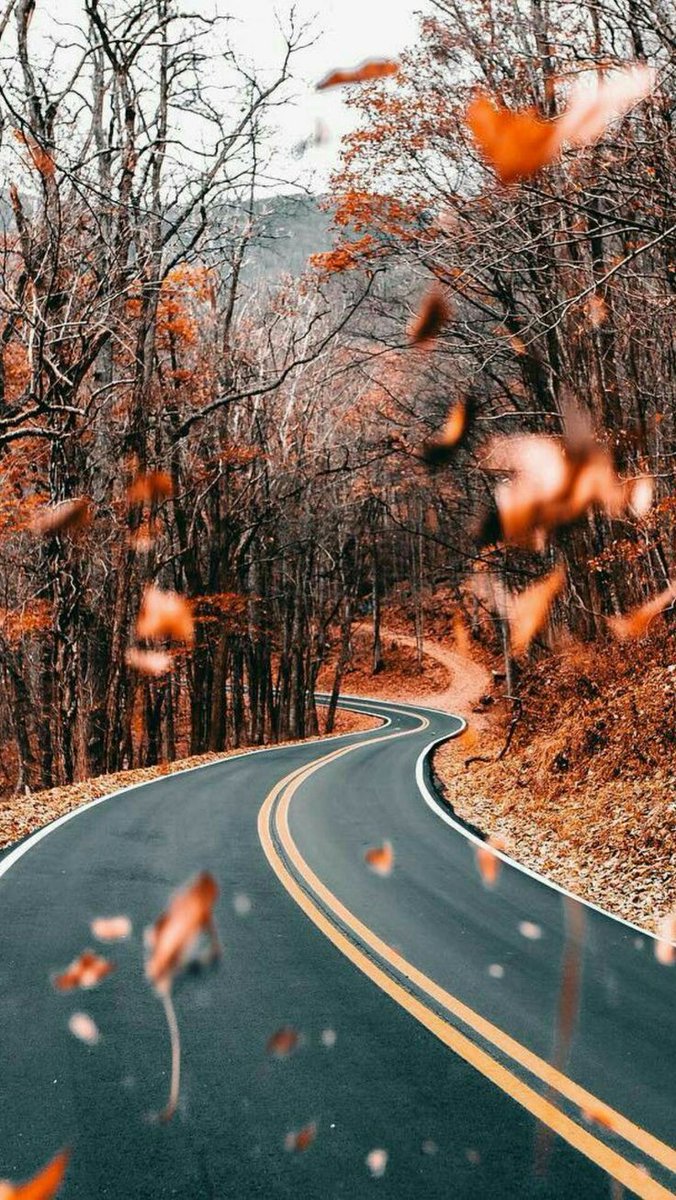 Metawadi2's tweet photo. ธรรมชาติจะโอบกอดเราเอง ในวันที่เราไม่มีใครให้กอด...🌇 🍂
#แคปชั่น #แคปชั่นภาษาอังกฤษ #แคปชั่นเด็ดๆโดนๆ #วอลเปเปอร์ #ธรรมชาติ #แคปชั่นกวนตีน #แคปชั่นน่ารัก https://t.co/NAht2vx496