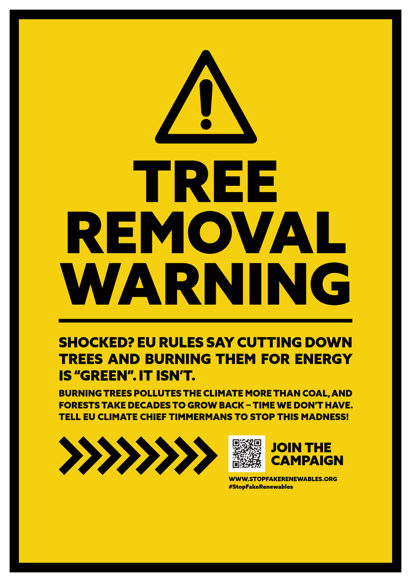 WWFEU's tweet photo. Coming to a tree near you this morning...! 👇😲

We're getting active, telling the EU that burning trees for energy is bad for the climate &amp; nature.

RT if you agree, the EU must #stopfakerenewables!  

https://t.co/KUqJcToFNq https://t.co/VbCZs5ANKp