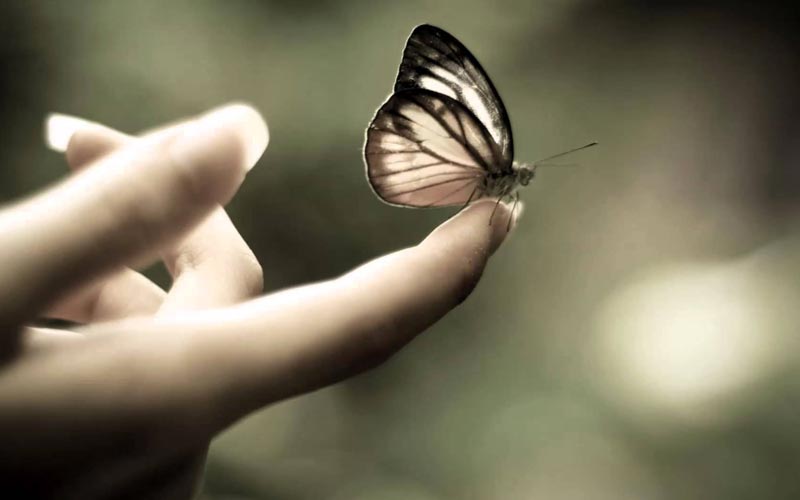 SakhashreeNeeta's tweet photo. How to Handle Desires
Today most people in the world are tormented by desires they are trying to chase. There is nothing wrong with desires, so long as you recognise them for what they are.
To read more, visit: https://t.co/ikcbUYXh7e
#Desires #NeetaSinghal #Neetasinghalblog https://t.co/618CXoYMw0
