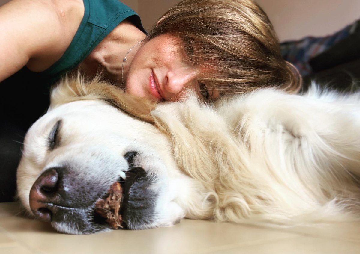 itcinziabellini's tweet photo. Questa è l’unica forma di abbandono che noi conosciamo. ❤️Portiamo i nostri familiari pelosi in vacanza con noi. Ormai ci sono tantissime strutture che li accolgono... E non solo, stiamo insieme e rendiamoli partecipi delle nostre attività.😍 #ioespock #vacanze #iononabbandono https://t.co/qew5bs2Cut