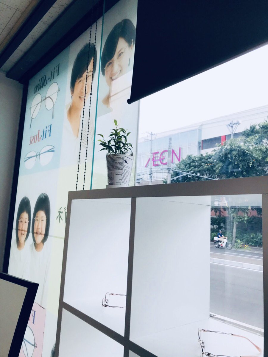 メガネ２１札幌元町店 フラワー花水木 札幌esta店さんで Hanamizukiesuta お約束の花 観葉植物 を手に入れました 高級フレームと 格安フレームに 更なる高級感を与えてくれそう 植物があると お店の雰囲気が 良くなりますね フラワー花水木 札幌