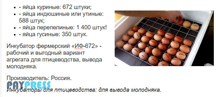 PaypressRu tweet picture
