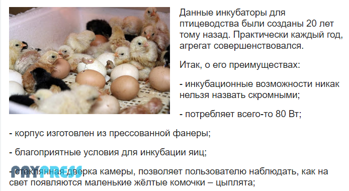 PaypressRu tweet picture