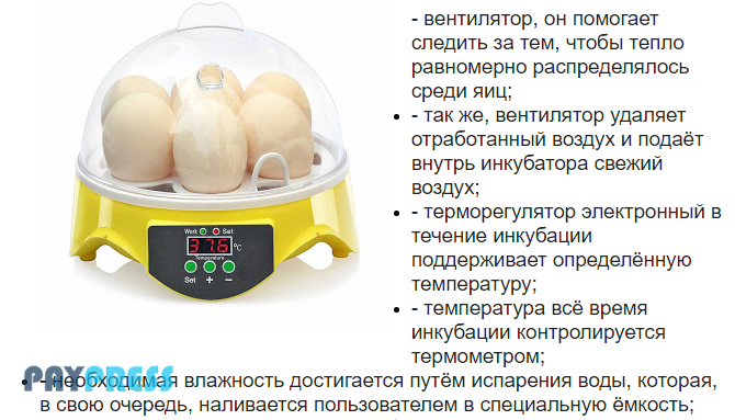 PaypressRu tweet picture
