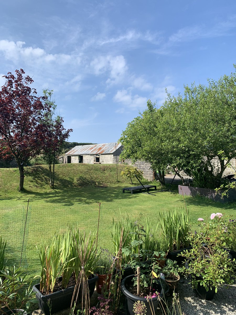 Tracey_Barter's tweet photo. I’m thankful for every minute I get to spend outdoors at home, to start the day sat on a wall with my coffee watching the chickens. We’re so incredibly fortunate to have such a beautiful outdoor space. Loving the simple moments in life! @HelenWilding78 #feelinggrateful #thankful https://t.co/s55dEihM8V