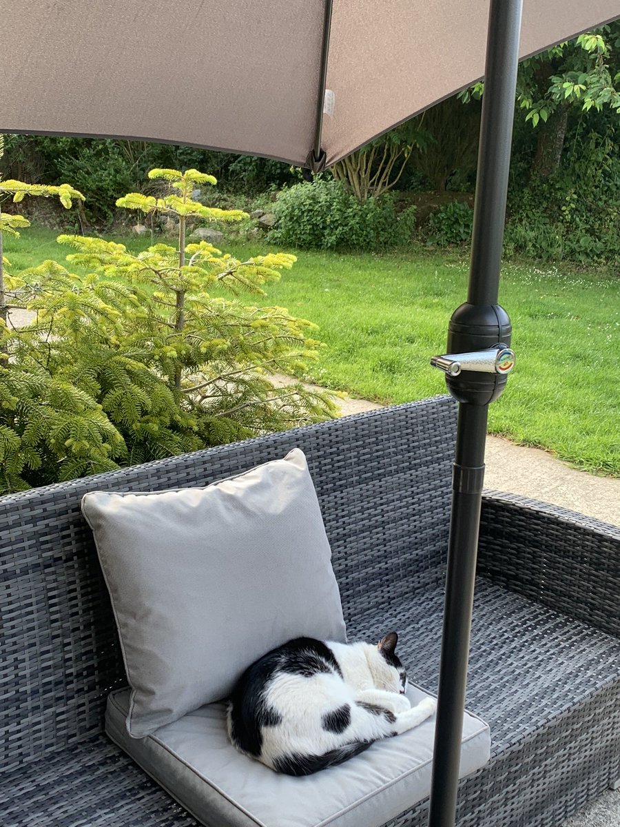 Tracey_Barter's tweet photo. I’m thankful for every minute I get to spend outdoors at home, to start the day sat on a wall with my coffee watching the chickens. We’re so incredibly fortunate to have such a beautiful outdoor space. Loving the simple moments in life! @HelenWilding78 #feelinggrateful #thankful https://t.co/s55dEihM8V