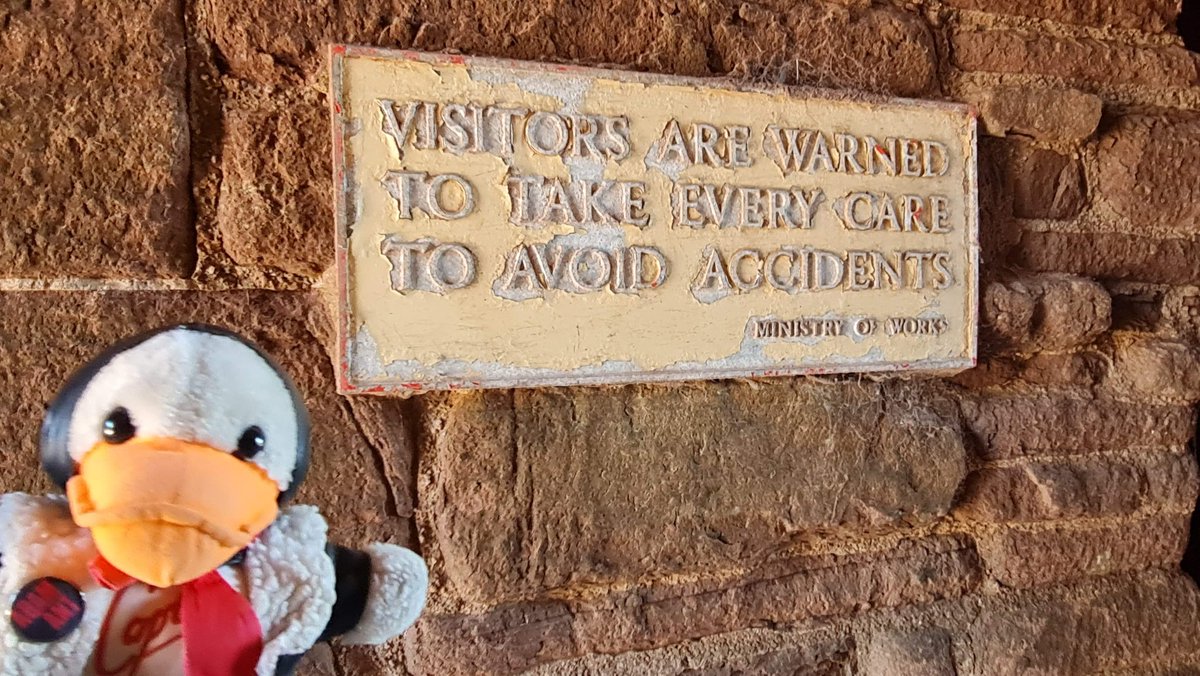 SadCaptains's tweet photo. There are enough holiday photos for forever. We won't need to go away ever again 🤣 @captaintduck4 had no idea what a yat is. https://t.co/rvpPVoaZea