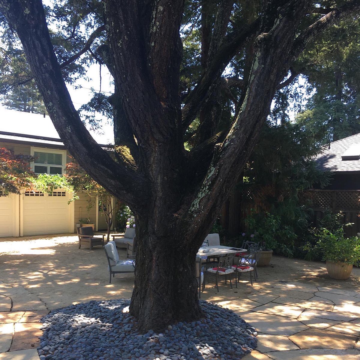 Catholic Schools SF tweet media