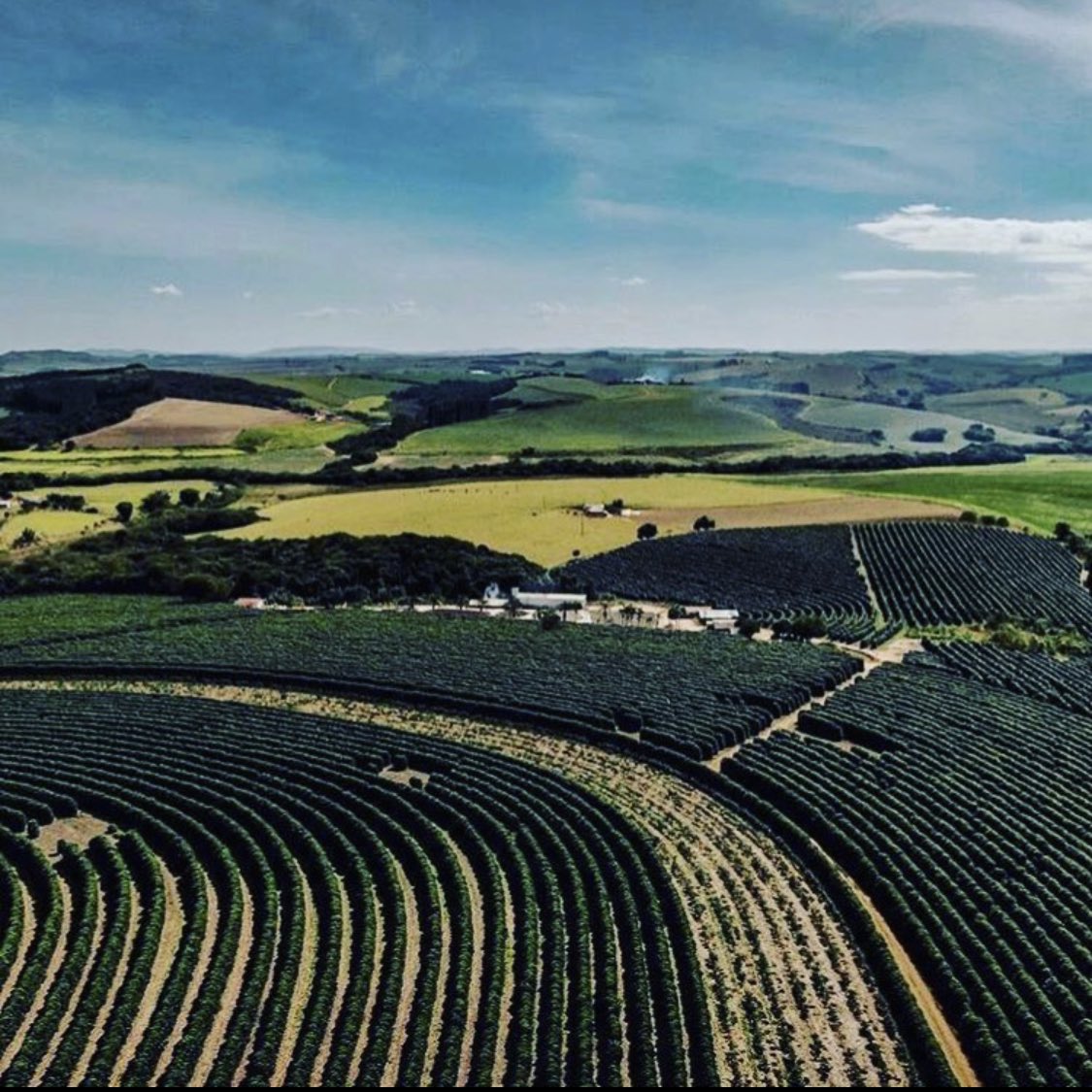 dancinggoatyork's tweet photo. Our new #brazilian #barbosa #coffee is now available.The latest in the #dancinggoat range is #singleestate pure #arabica, full bodied, nutty with sweet tones. Let us know what you think and donโt forget to tag #wheresthegoat so we see your post! Enjoy the coffee carnival! ๐๐โ๏ธ https://t.co/cSKZ67yNd1