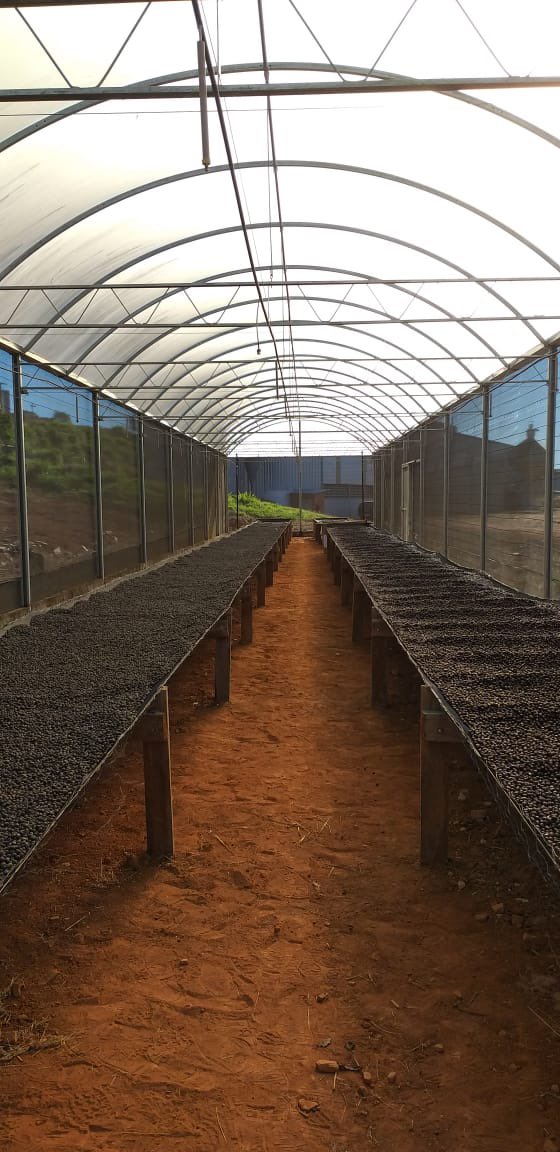 dancinggoatyork's tweet photo. Our new #brazilian #barbosa #coffee is now available.The latest in the #dancinggoat range is #singleestate pure #arabica, full bodied, nutty with sweet tones. Let us know what you think and donโt forget to tag #wheresthegoat so we see your post! Enjoy the coffee carnival! ๐๐โ๏ธ https://t.co/cSKZ67yNd1