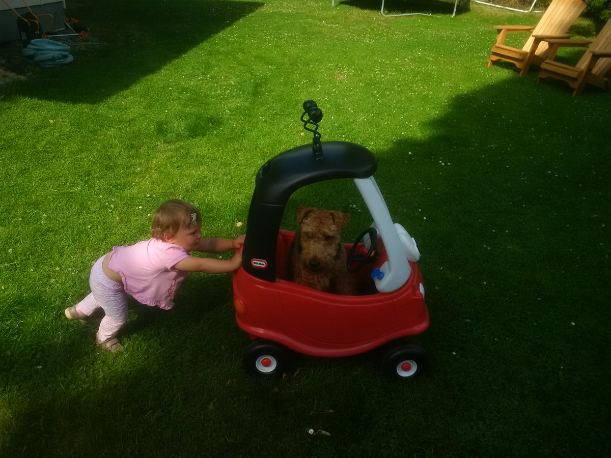 OutcastOtter's tweet photo. Thanks @lovereadingkids for adding Adventures of Calypso to you amazing site!  

https://t.co/Elsw4Kmvzb #childrensbook #dogs #friendship https://t.co/LzGY3XTNLe