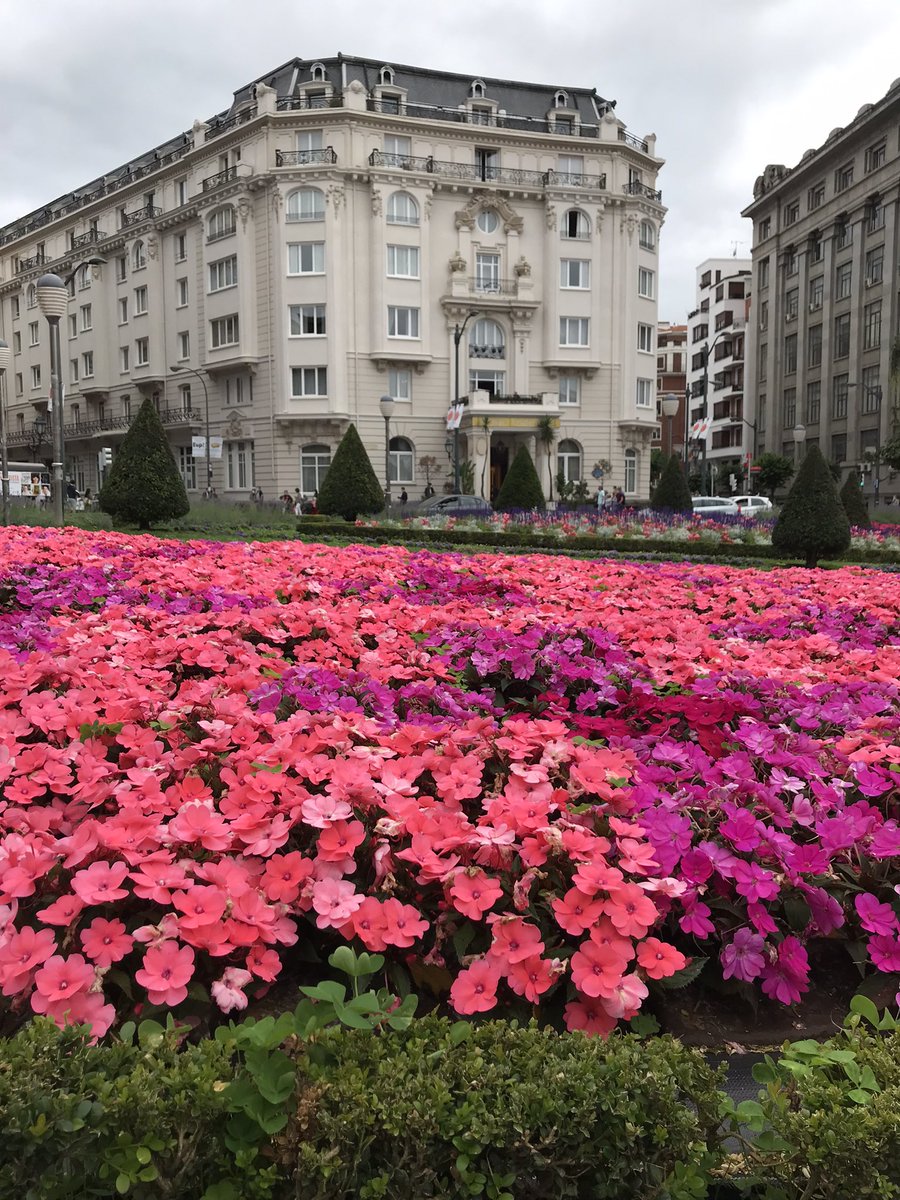 inigoladronm's tweet photo. Preciosas #flores y #jardines en la #PlazaElíptica, o #PlazaMoyua, de #Bilbao, junto al #HotelCarlton. #carlton flor #jardín #elíptica #moyua #flowers #garden #bilbo #elbotxo #botxo #botxito #igers #igersbilbao #igersbilbo #igersvizcaya #igersbizkaia #igerspaísvasco #igerseuskadi https://t.co/b3Hy6D50ow