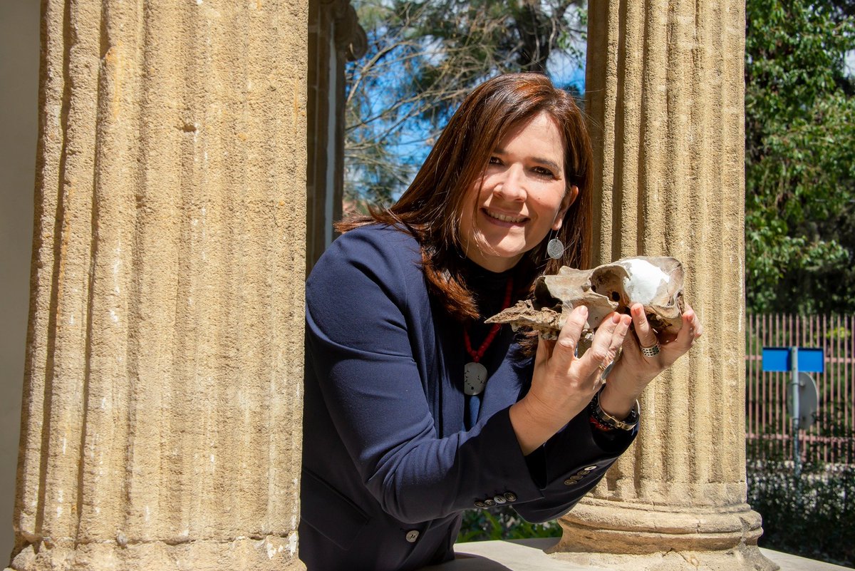 cyarch_aca's tweet photo. 3ο επεισόδιο της σειράς #ScienceTalksKidsEdition από την @LinaKassianidou
Ακούστε εδώ: https://t.co/JZkFYqk8W7
@ARU_UCY @UCYOfficial https://t.co/QUDxjwVQB9