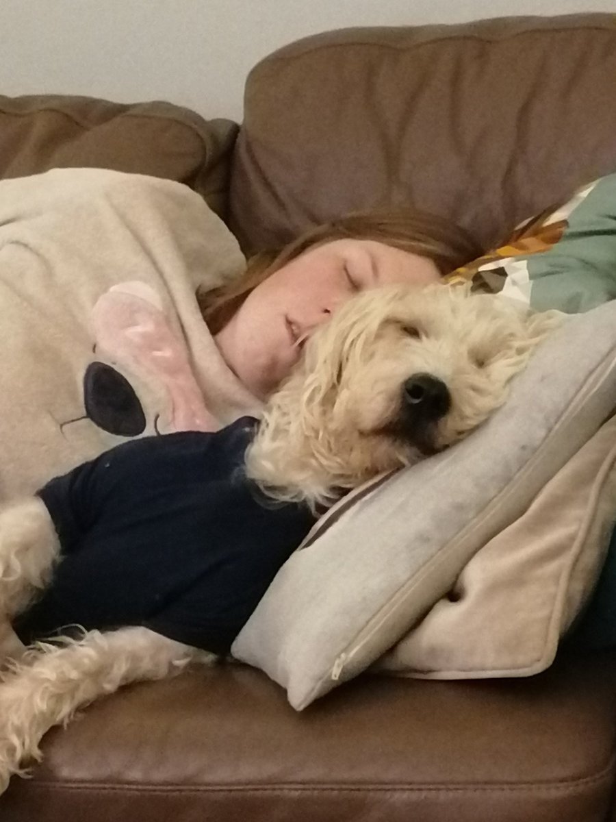 ArchieBall25's tweet image. Happy Burfday to my hoooooman sister @henrietta_ball