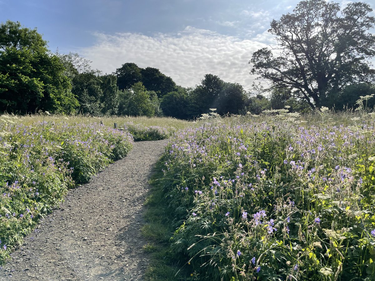 malcheggie's tweet photo. Beautiful morning in #Edinburgh #SummerMeadows - #Scorcher 🐶🐶🕶🕶 https://t.co/8PojesfPDw